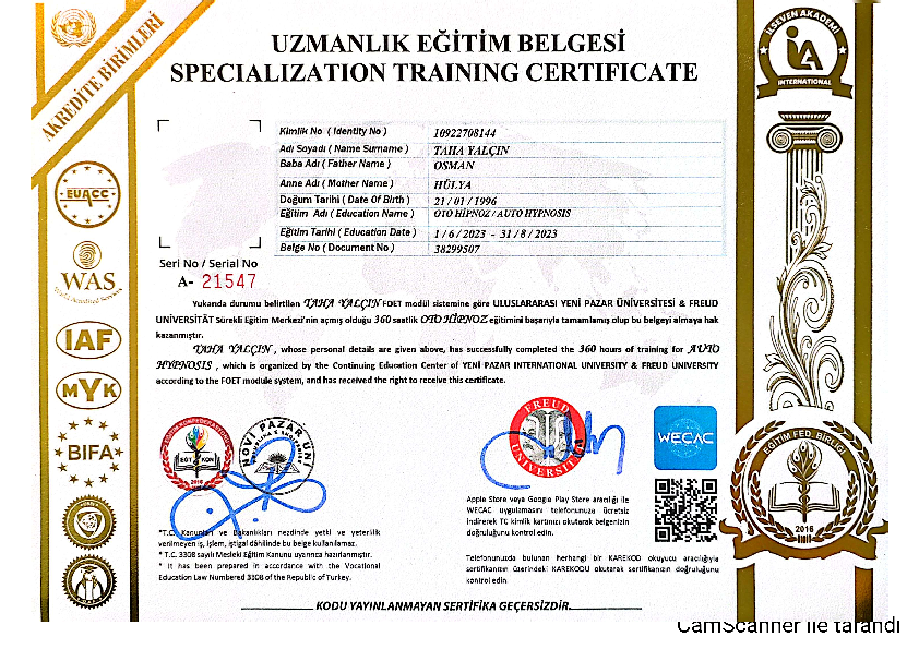 Oyun Terapisi Sertifikası